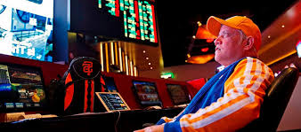 Как войти на сайт Magnet Casino
